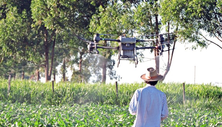 aplicação foliar com drone agrícola em milho e soja 1