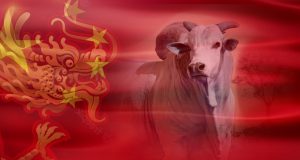 china exportacao de carne brasileira - dragao chinEs