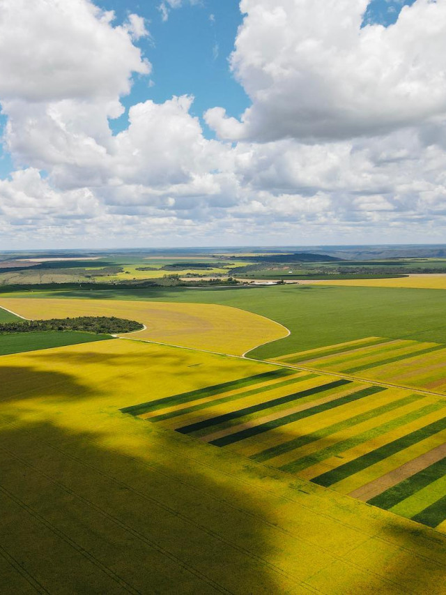 agricultura fantastica - area com pivot - fotao-Amanda-Apolinario-Matos