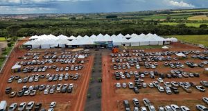 feira do cerrado