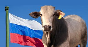 russia suspende importacao de carne brasileira 2