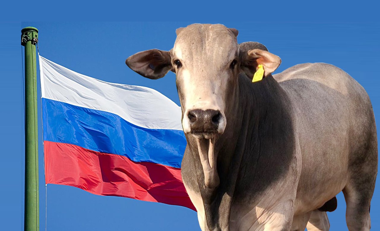 russia suspende importacao de carne brasileira 2