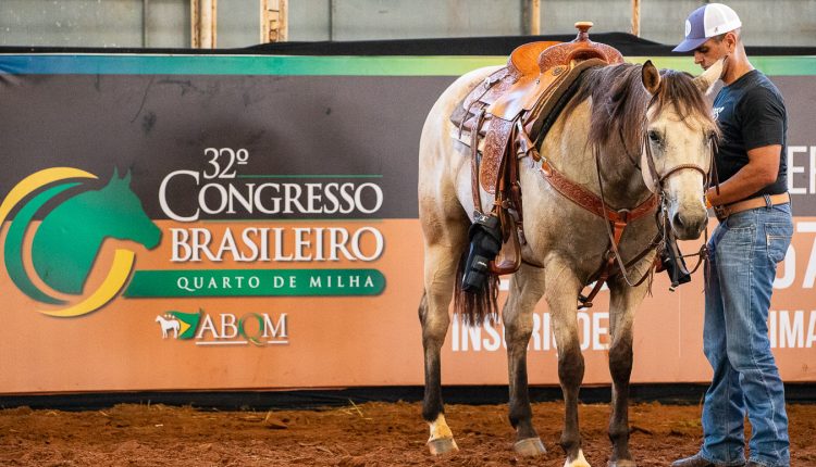 Araçatuba recebe o 32º Congresso Brasileiro do Quarto de Milha