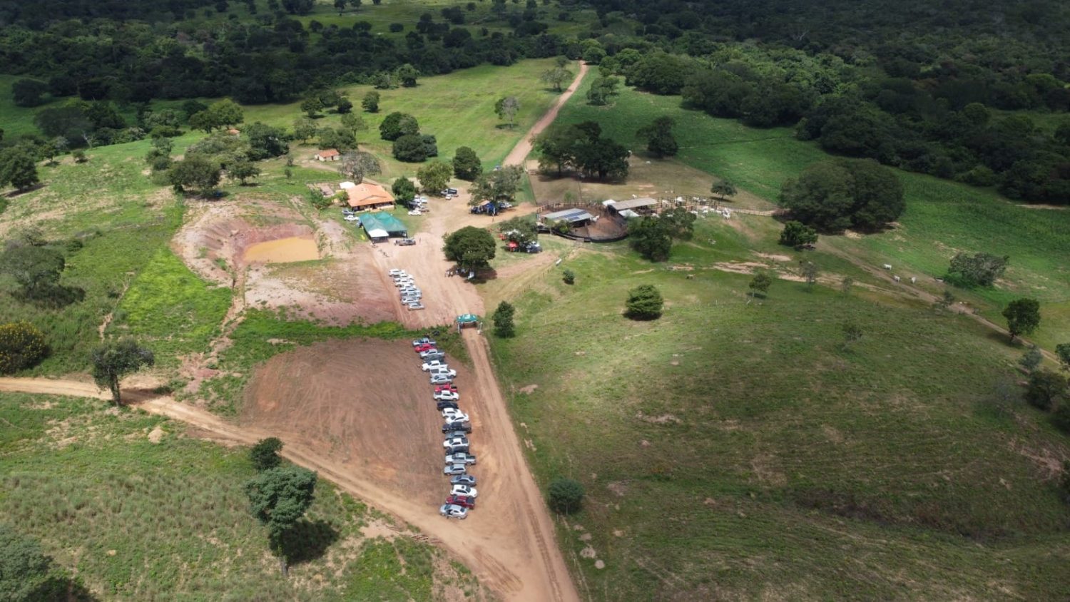 Leilão Nelore JMAJ mostra a força da raça no oeste baiano