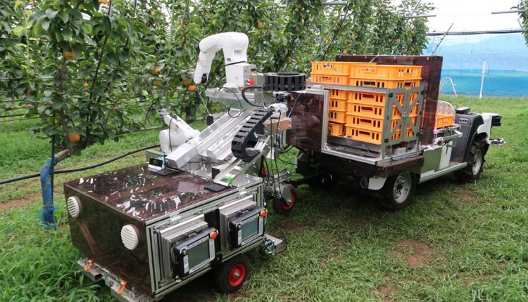 Mercado de robôs agrícolas deve crescer 20% ao ano, segundo especialista