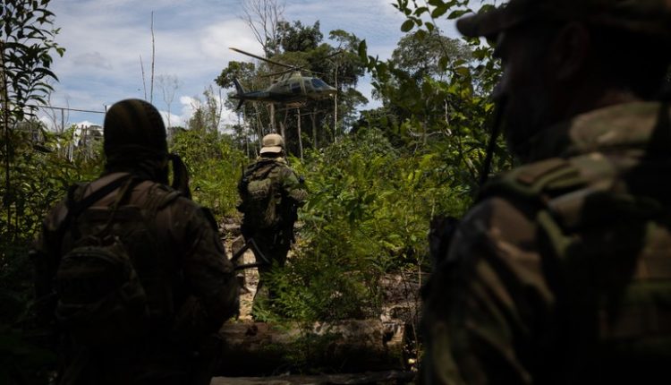 Multas por desmatamento na Amazônia aumentam 219% no trimestre