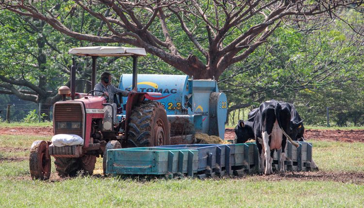 Nutrição de precisão alia produção e sustentabilidade na pecuária leiteira 3 - trator silagem cocho