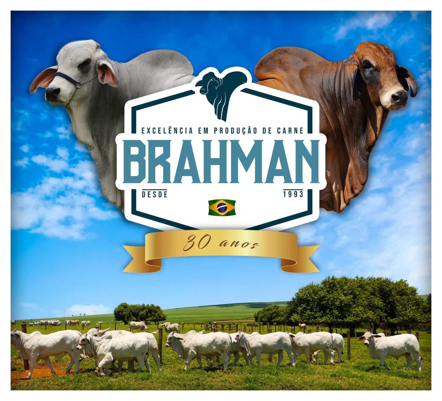 Selo 30 anos da Associação de Brahman