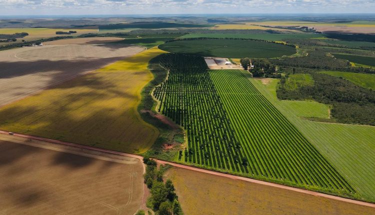 agricultura-fantastica-area-com-pivot-fotao-Amanda-Apolinario-Matos