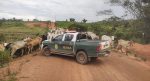 ibama sobre gado embargado no amazonas