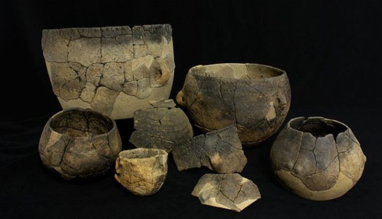 Algumas das cerâmicas analisadas pelos cientistas da universidade - Divulgação/Annabelle Cocollos