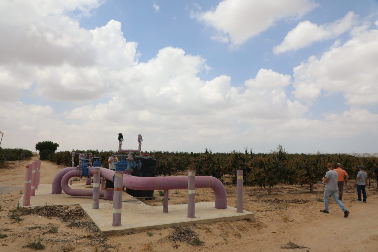 Brasileiros vão conhecer técnica de Israel para produzir alimentos no deserto