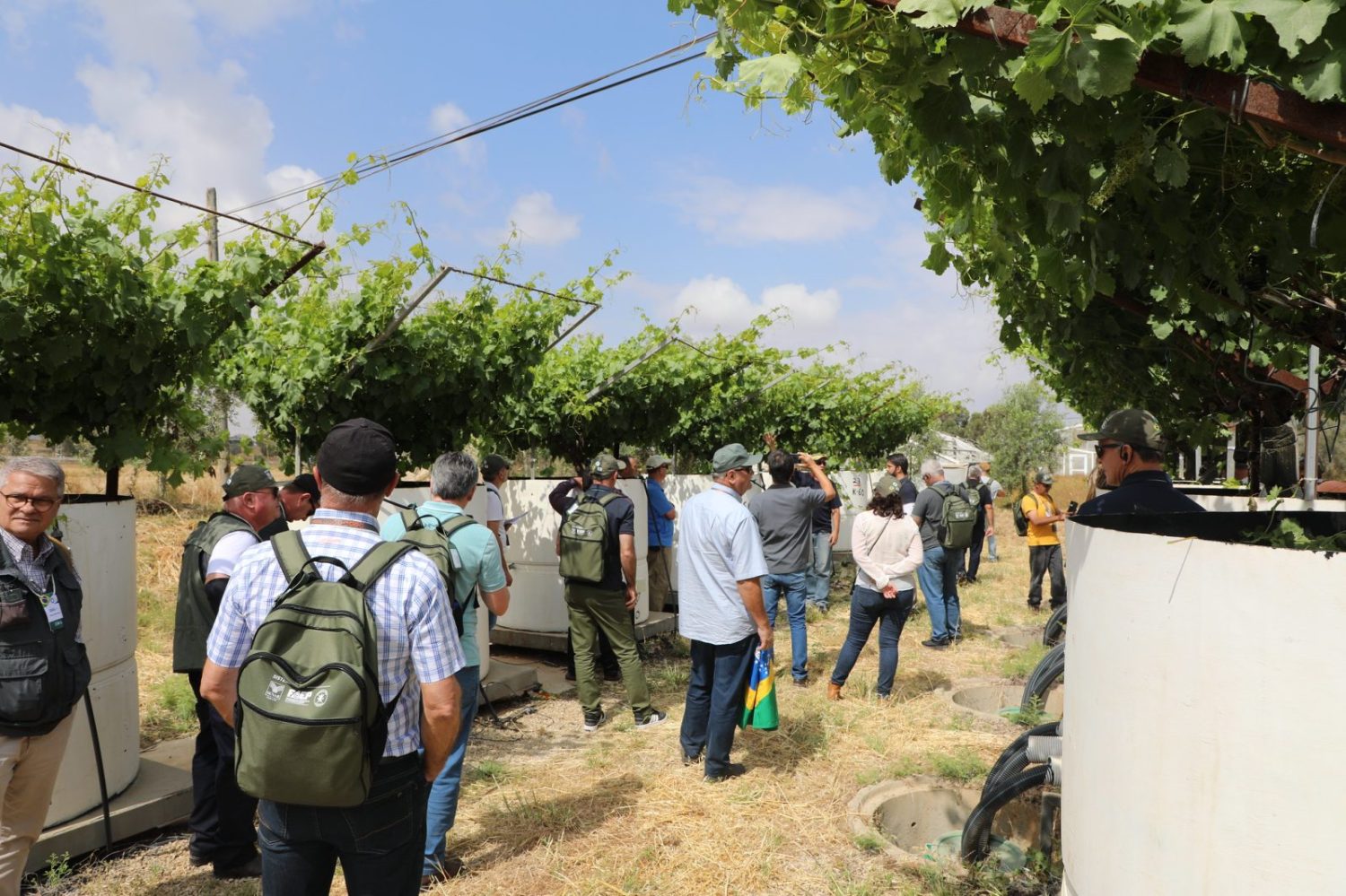 Brasileiros vão conhecer técnica de Israel para produzir alimentos no deserto