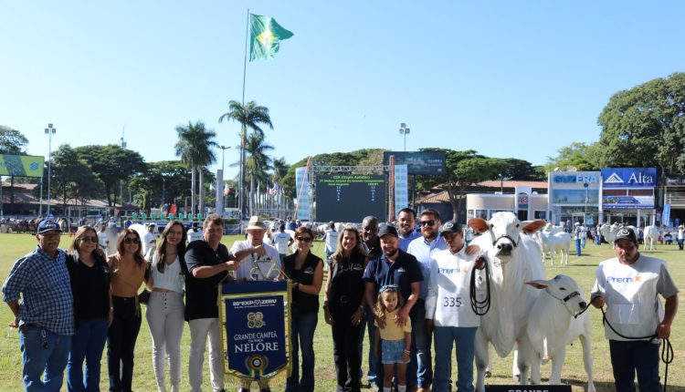 Casa-Branca-faz-a-Grande-Campea-e-e-o-Melhor-Expositor-Nelore-da-88-Expozebu-foto-divulgacao