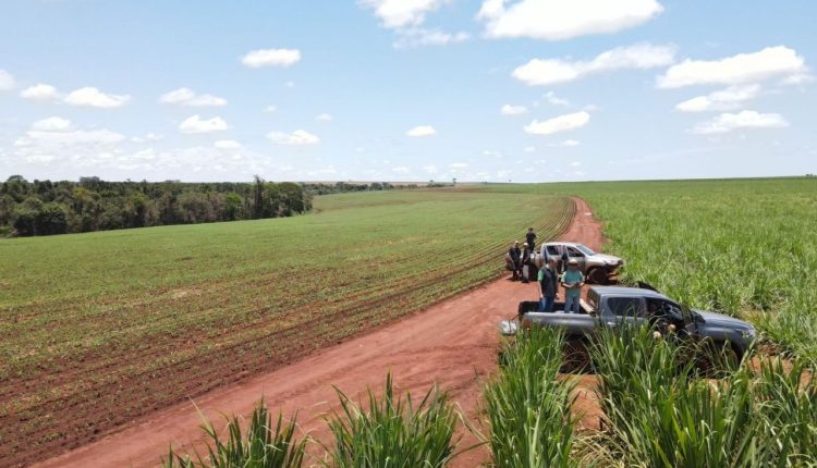 Conheça a startup de inteligência artificial no agro vencedora de prêmio na Agrishow - cromai