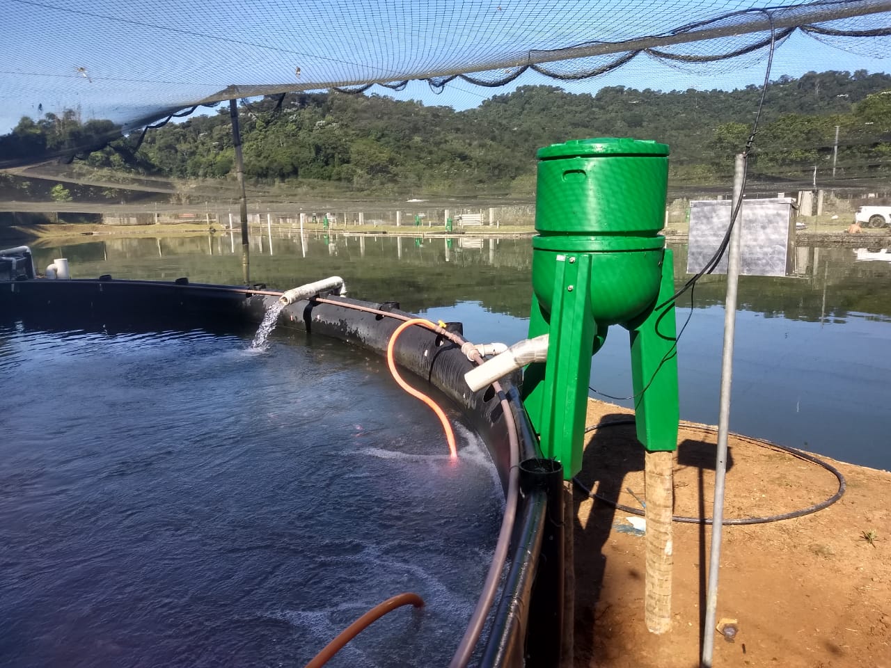 A automação do arraçoamento ajuda a garantir o fornecimento adequado de nutrientes para os animais, melhorando o desenvolvimento e saudabilidade da criação 