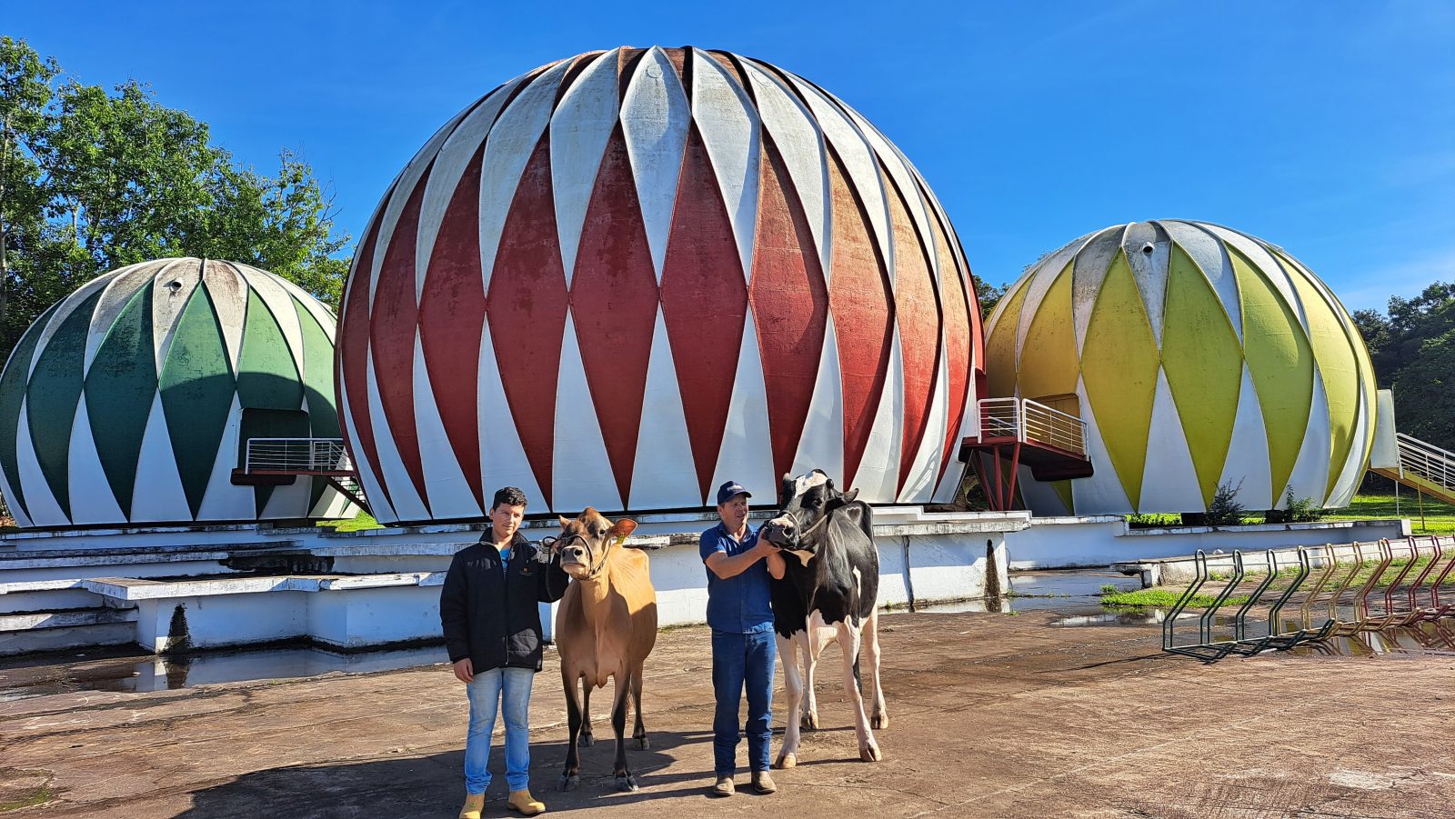 44ª Feira do Terneiro, Terneira e da Vaquilhona 