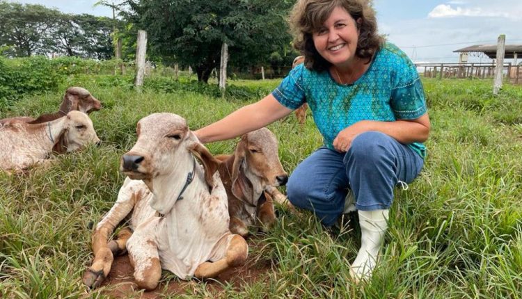 No dia do Zootecnista, pesquisadores e extensionista da Secretaria de Agricultura destacam a relevância da profissão para o Agro