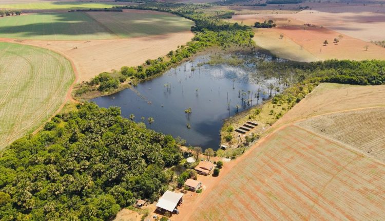 foto-drone-agricultura-em-pivot-irrigada-barragem-com-mata-ciliar-fotao-Amanda-Apolinario-Matos