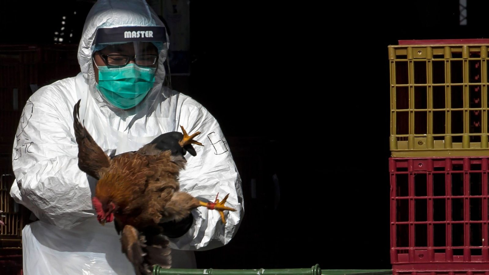 EUA registram primeiro caso grave de gripe aviária H5N1 em humano