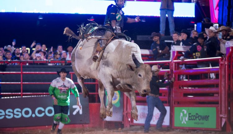 De 17 a 20 de agosto, Barretos sedia a final do campeonato de montarias em touros da PBR Brazil