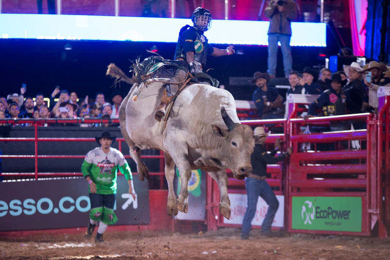 Festa do Peão terá o Circuito Rancho Primavera, melhor competição de rodeio  do país