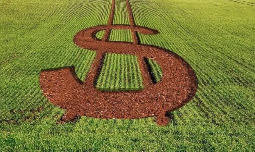 Governo destina R$ 78,2 bilhões ao Plano Safra da Agricultura Familiar por meio do Pronaf
