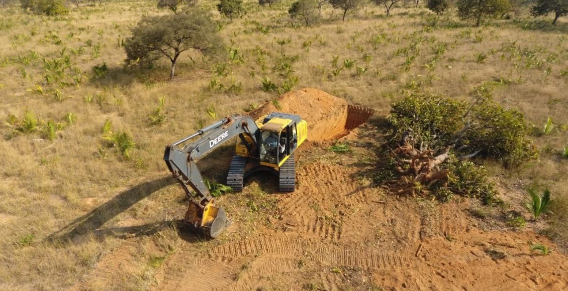 desmatamento ilegal de area preservada
