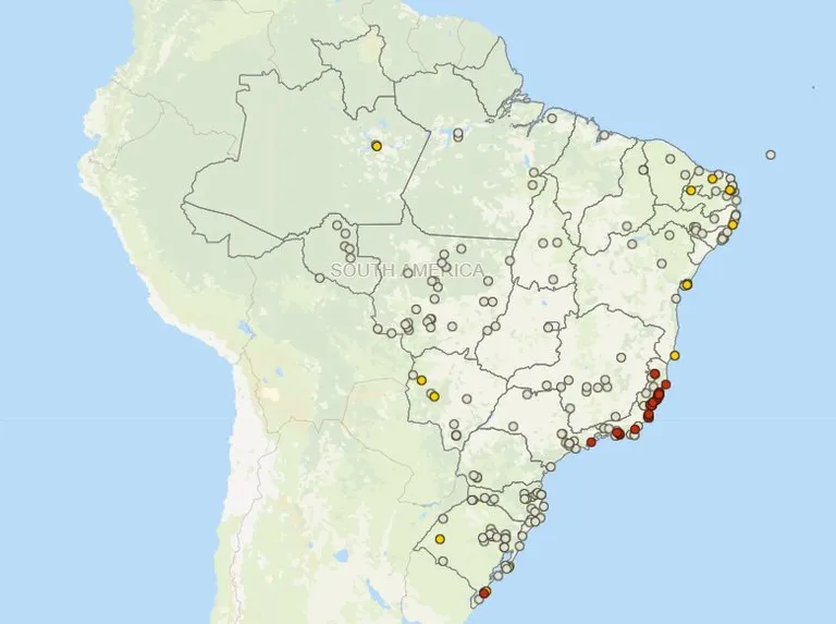 focos-Influenza-Aviária-Brasil