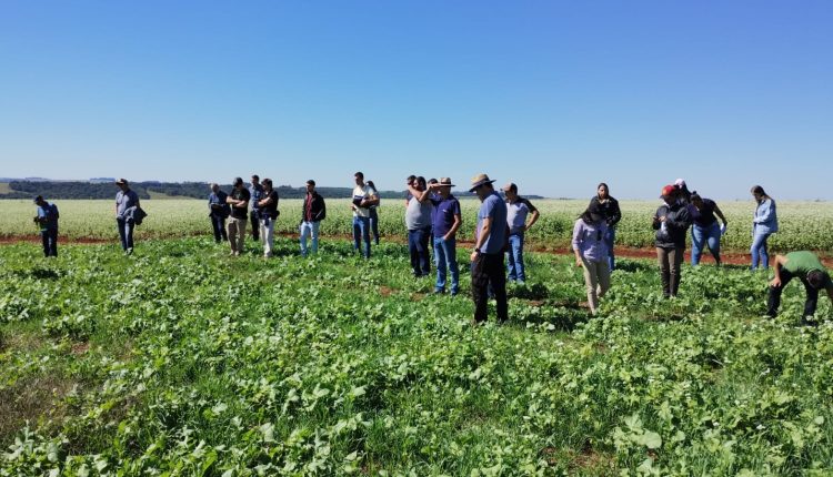 Produtores rurais em Chiapetta