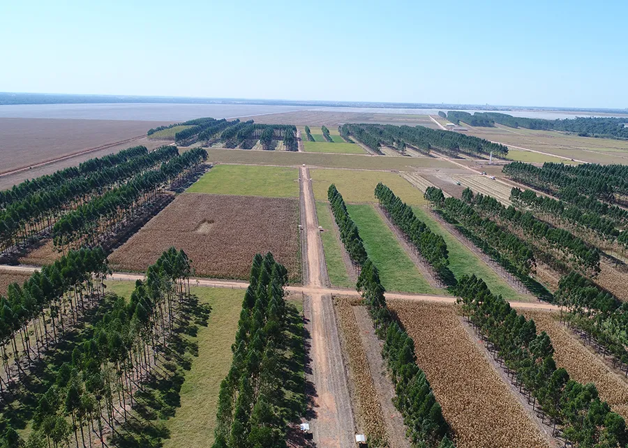 propriedades rurais