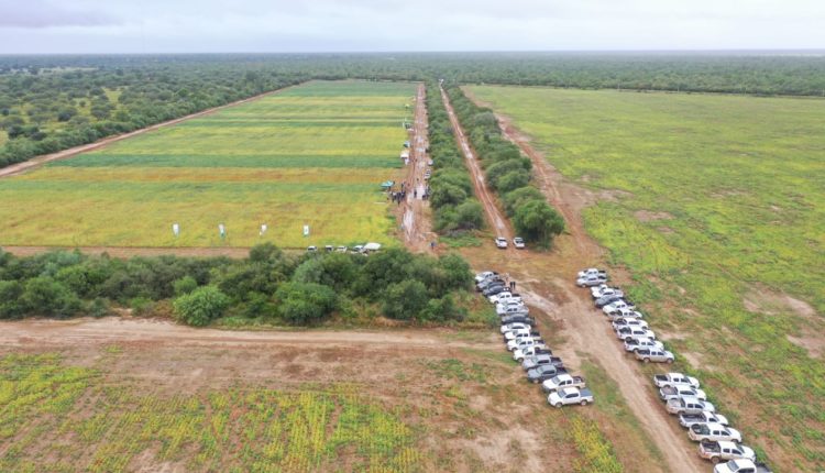 chaco paraguaio - fronteira agricola