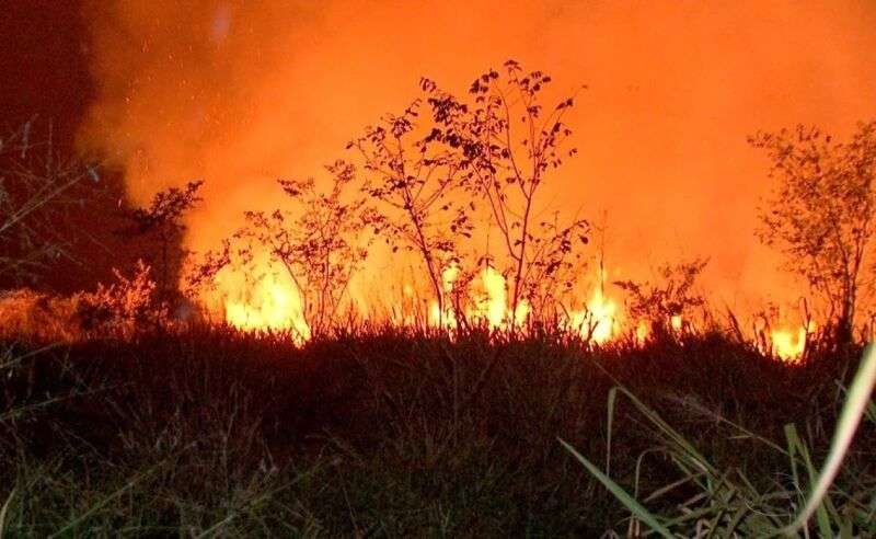 Acrimat cobra ação do Governo e critica responsabilização direta de produtores por incêndios em área de alto risco