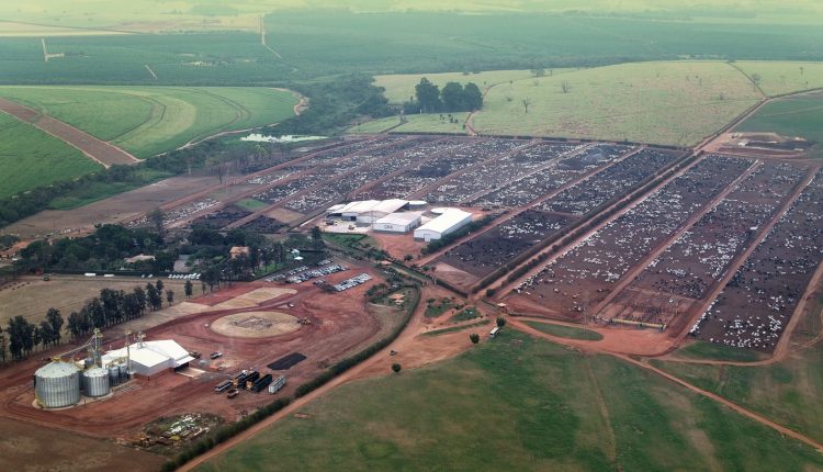 Confinamento Monte Alegre