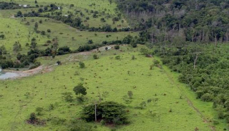 invasão de terras