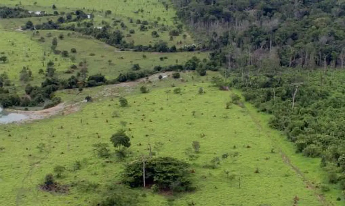 invasão de terras