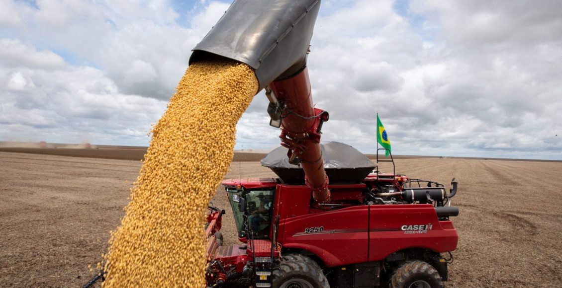 soja no mato grosso