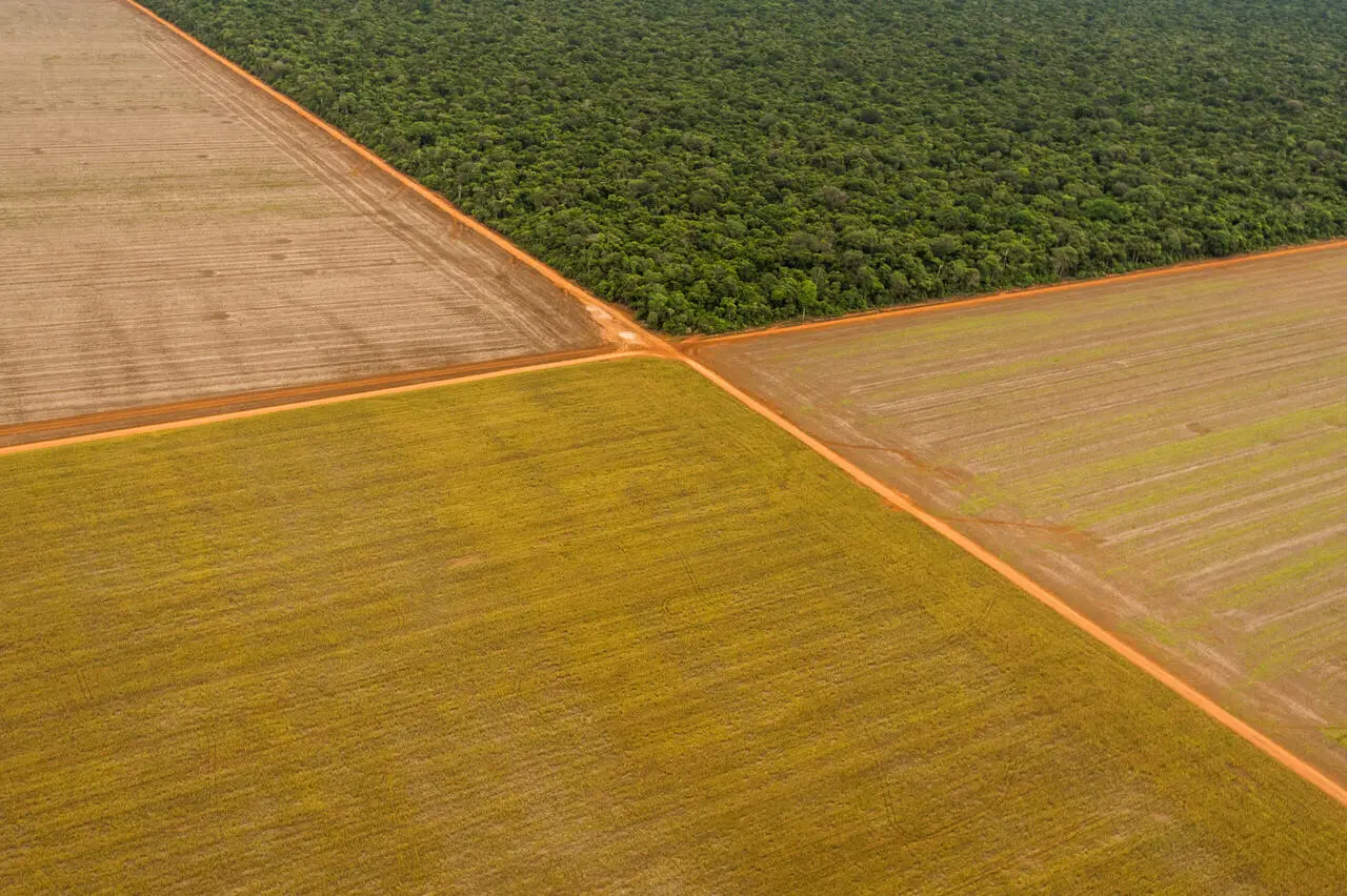 Votação da PEC do marco temporal de áreas indígenas é adiada