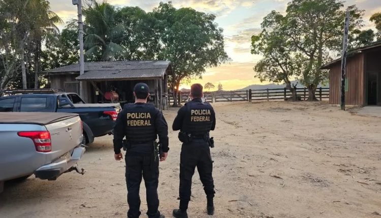 Polícia Federal confisca 16 fazendas e 10.000 cabeças de gado de grupo na Amazônia