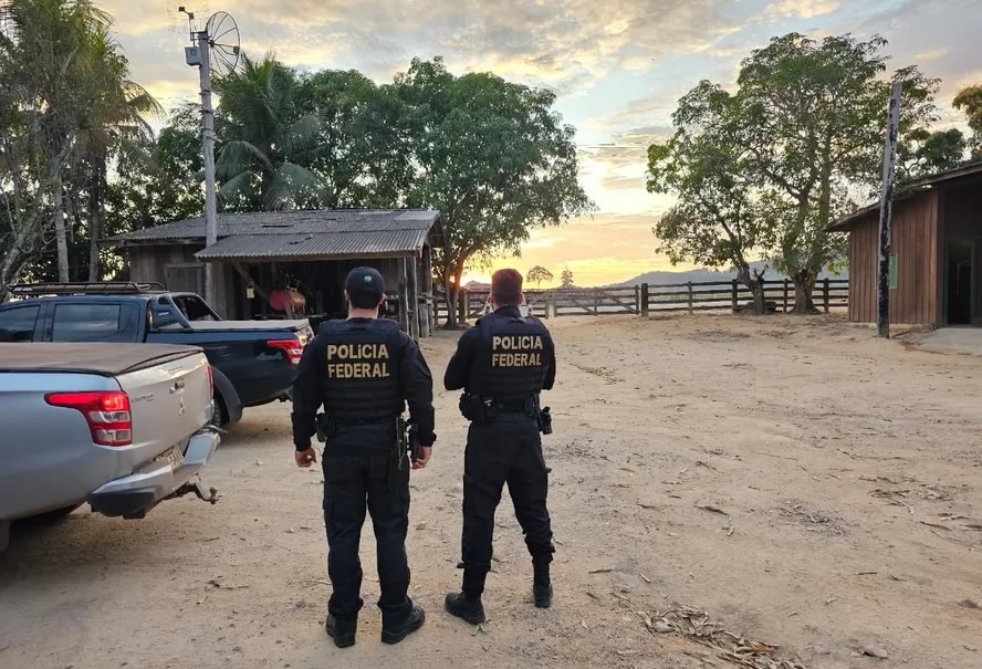 Polícia Federal confisca 16 fazendas e 10.000 cabeças de gado de grupo na Amazônia