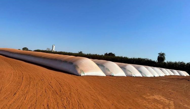 Venda recorde de silo-bolsa ajuda a amenizar o déficit de armazenamento no Brasil