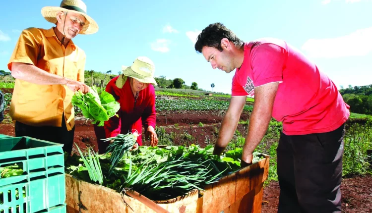 Agricultura familiar