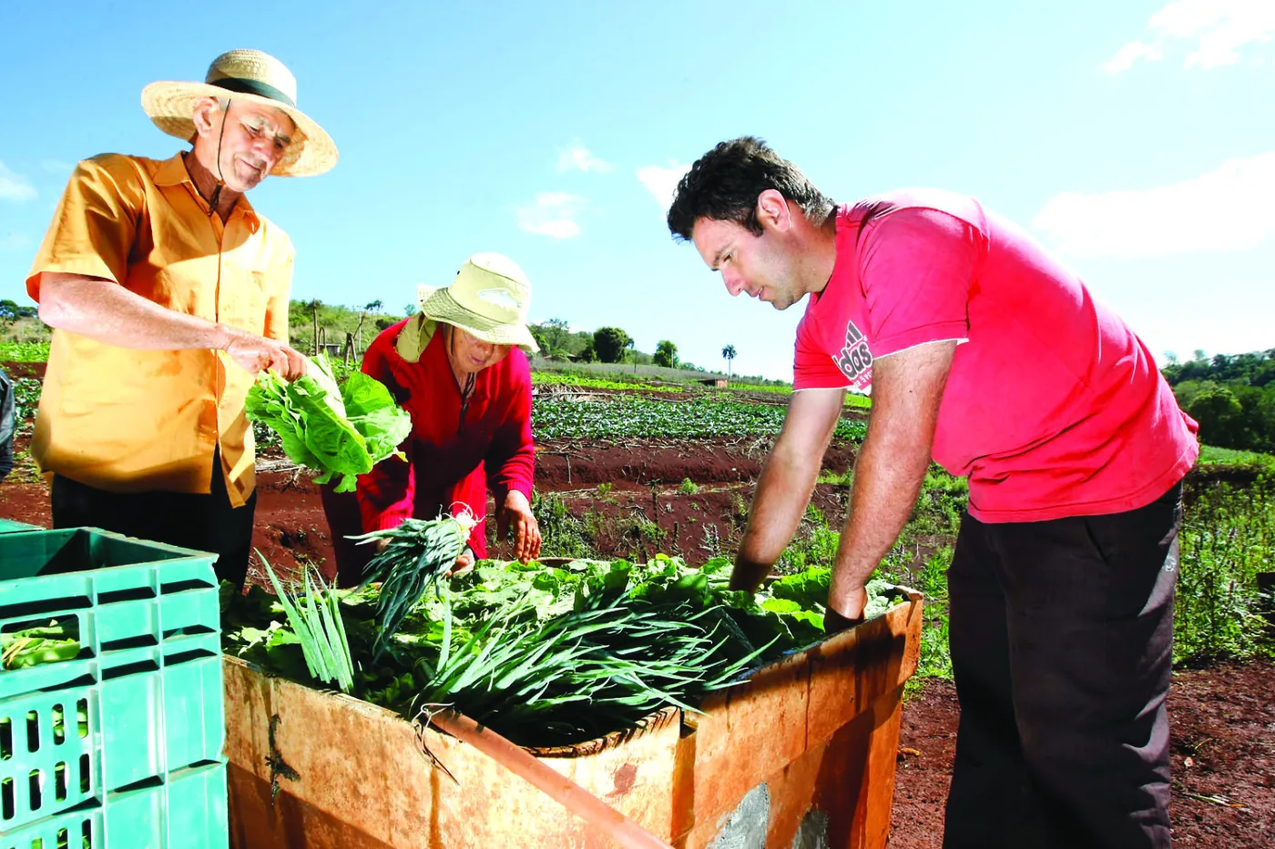 Agricultura familiar