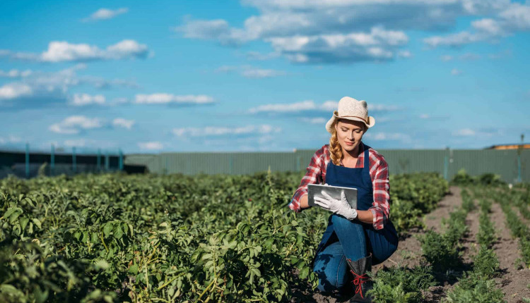 trabalhadores no agronegócio