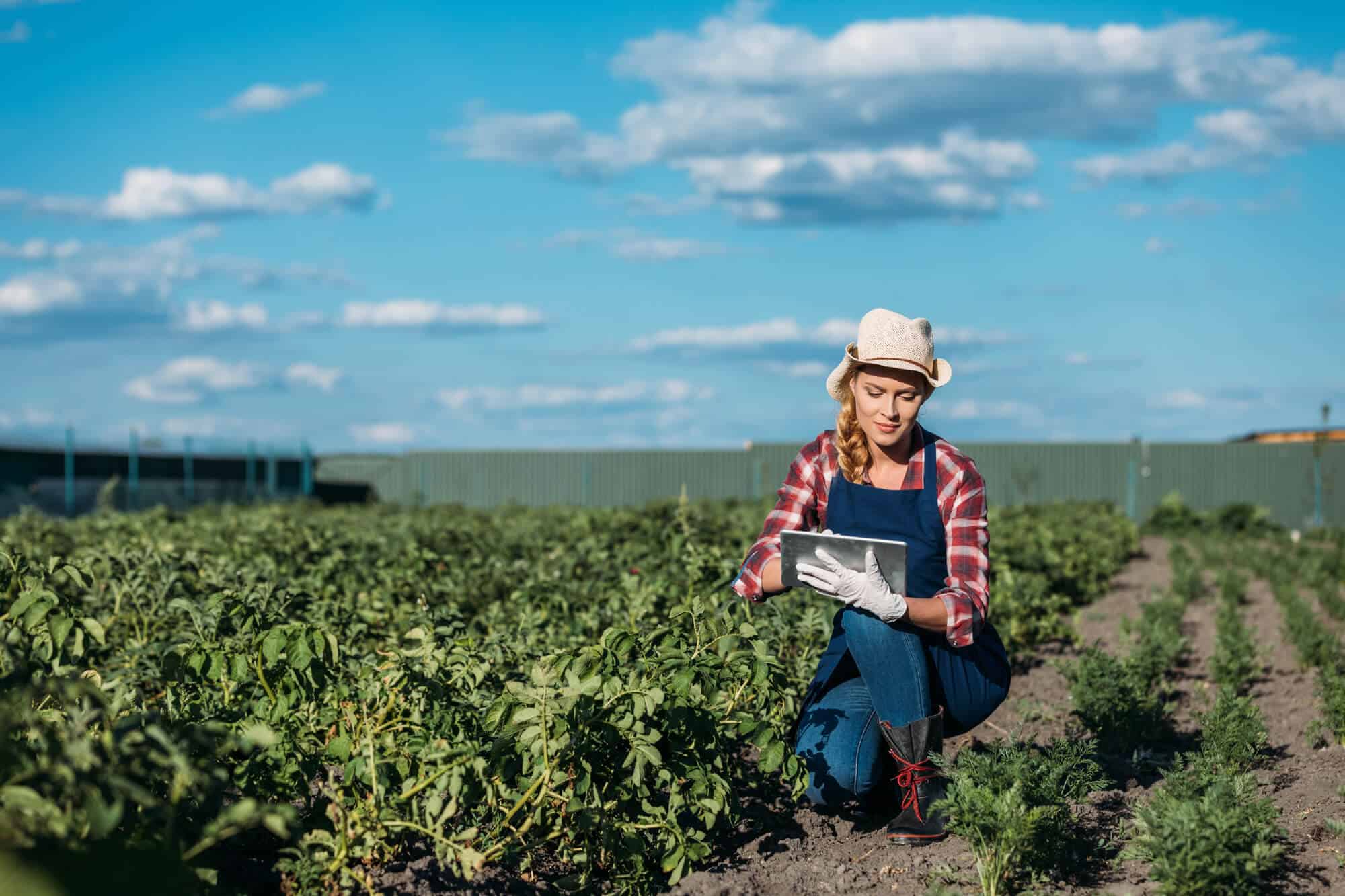 Produtor rural mais jovem e mais tecnológico