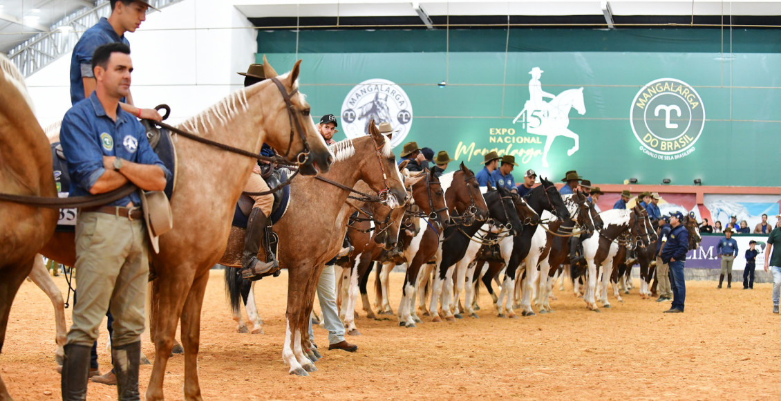 Associação Brasileira de Criadores de Cavalos da Raça Mangalarga