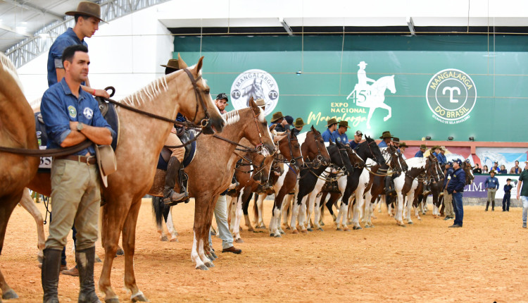 Associação Brasileira de Criadores de Cavalos da Raça Mangalarga