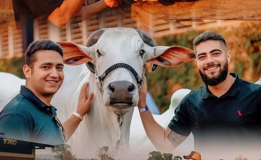 Fazenda Terra Prometida de Henrique e Juliano