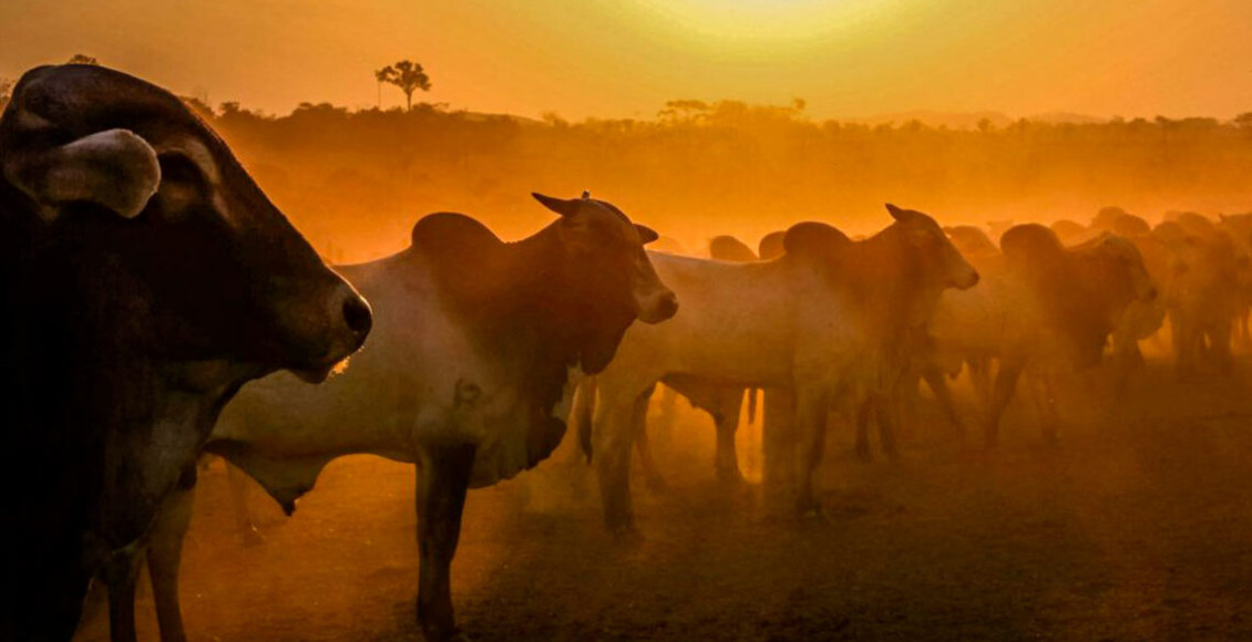 onda de calor