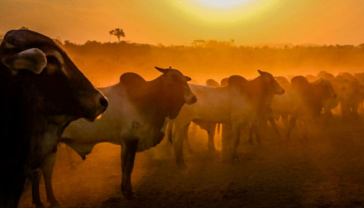 onda de calor